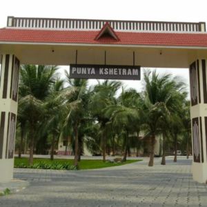 Untitled design (61)