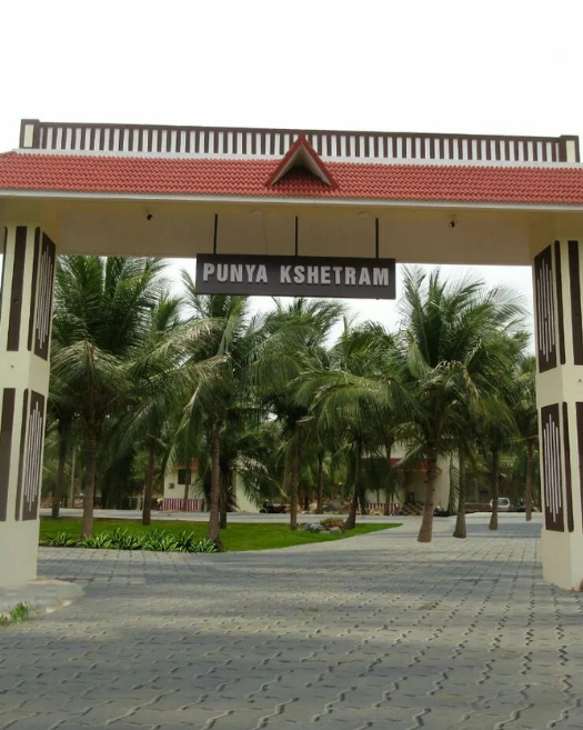 Untitled design (61)